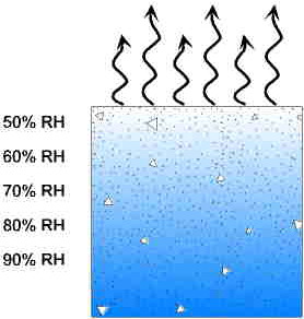 Moisture gradient forms as moisture escapes the top of the slab