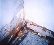 Bottom of a wall corner covered in mold caused by moisture